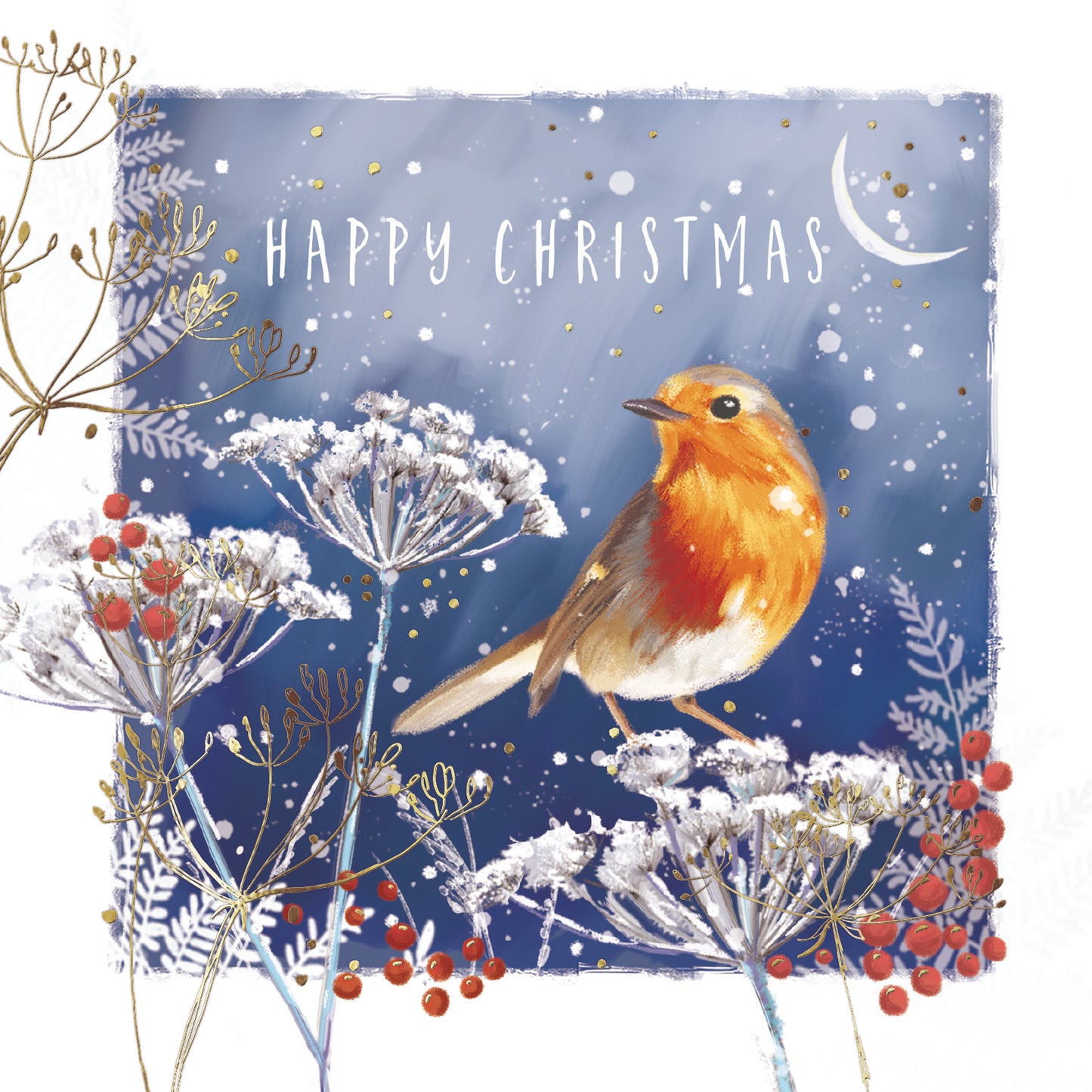 'Robin in Moonlight' Pack of 10 Charity Christmas Greetings Cards