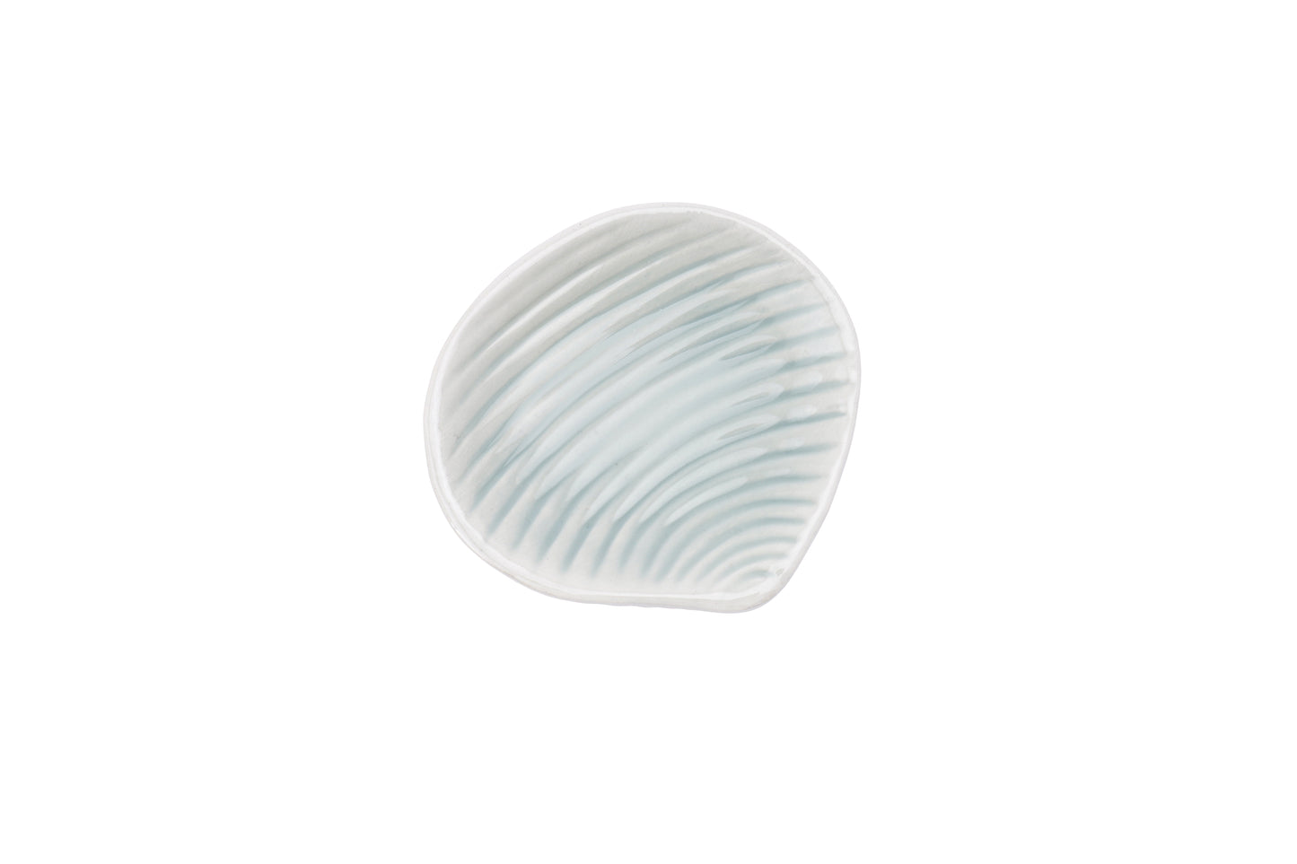 CGB Giftware The Harbour House Rockpool Shell Shaped Trinket Dish