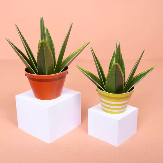 Clockwork Soldier Create Your Own Aloe Vera Plant Paper Craft Kit