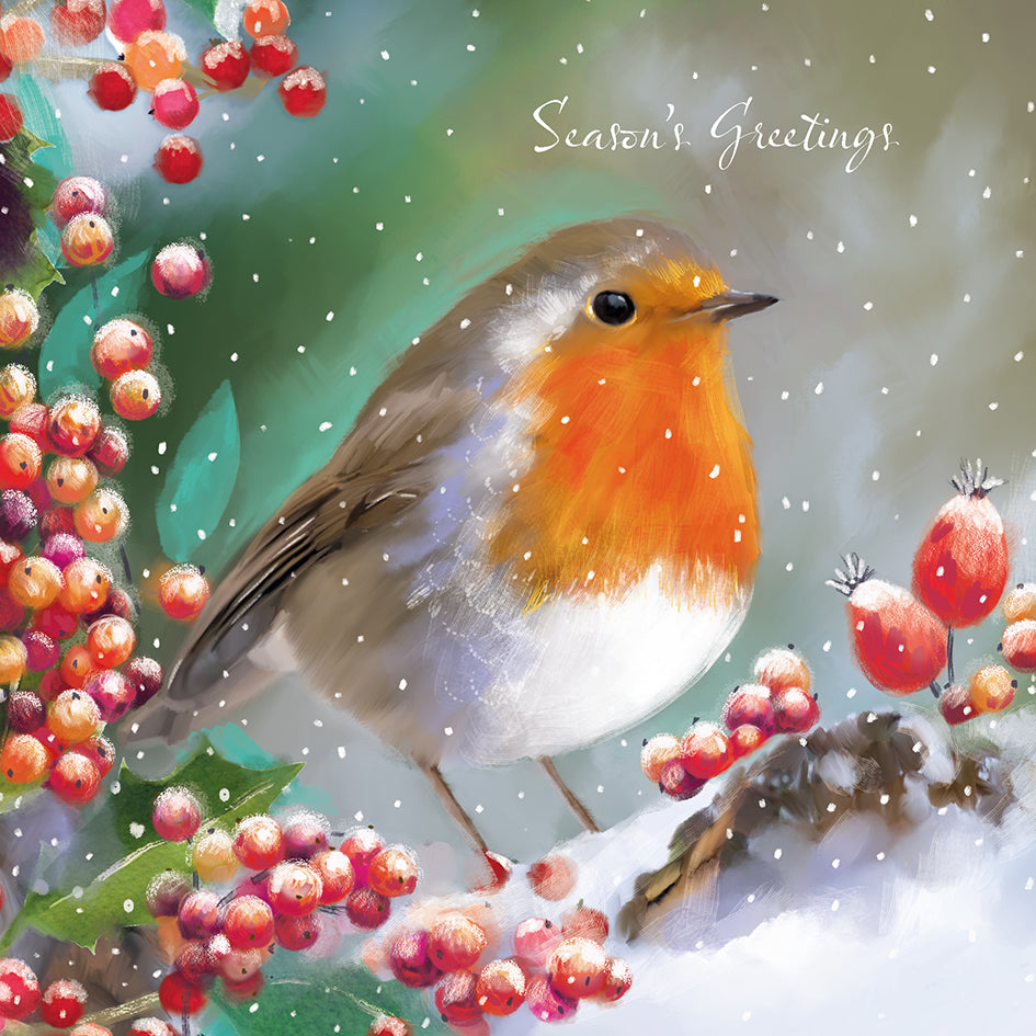 'Robin in the Snow' Pack of 10 Charity Christmas Greetings Cards