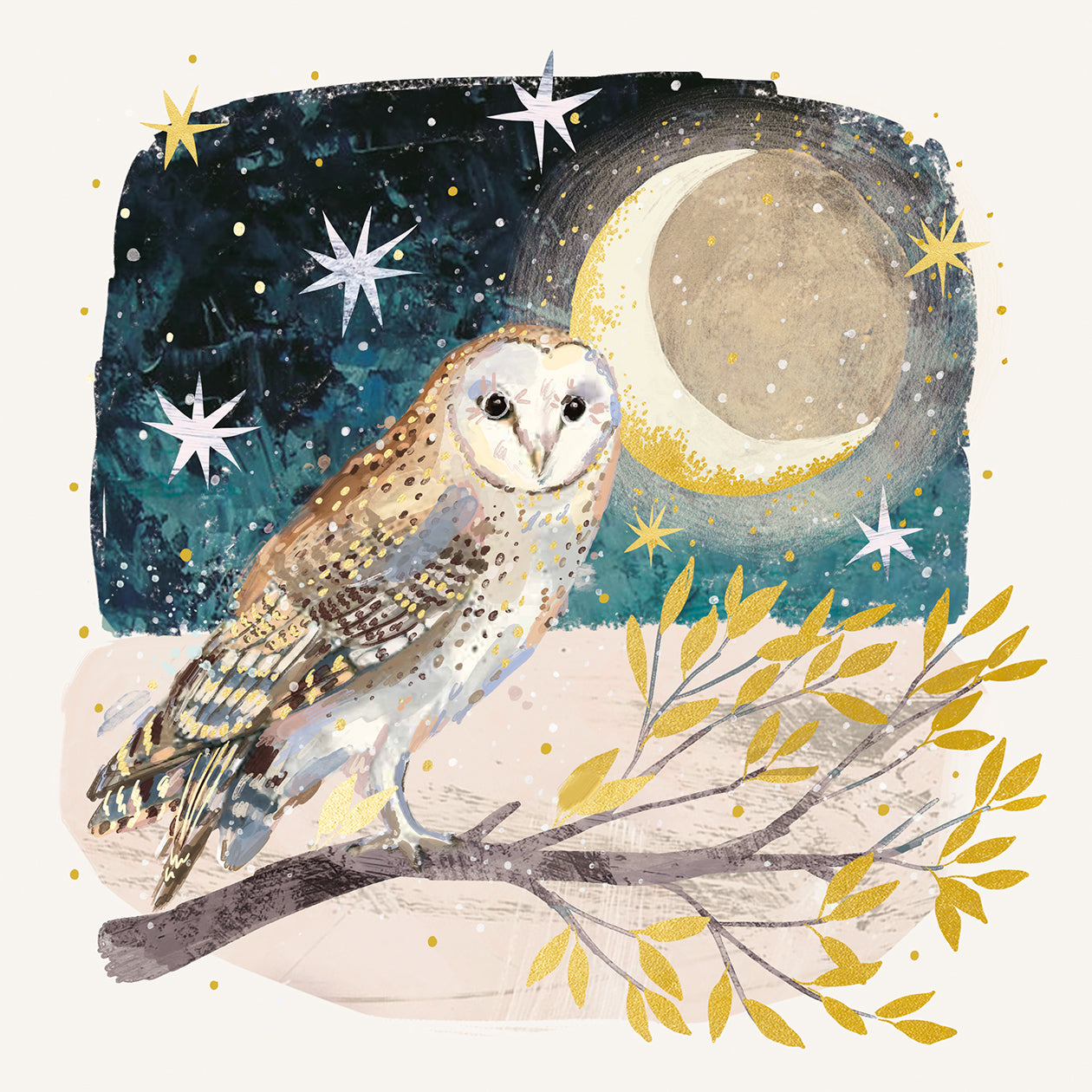 'Moonlit Owl' Pack of 10 Charity Christmas Greetings Cards