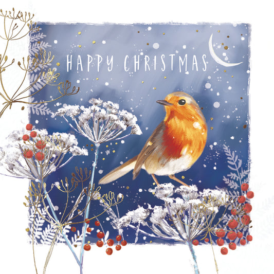 'Robin in Moonlight' Pack of 10 Charity Christmas Greetings Cards