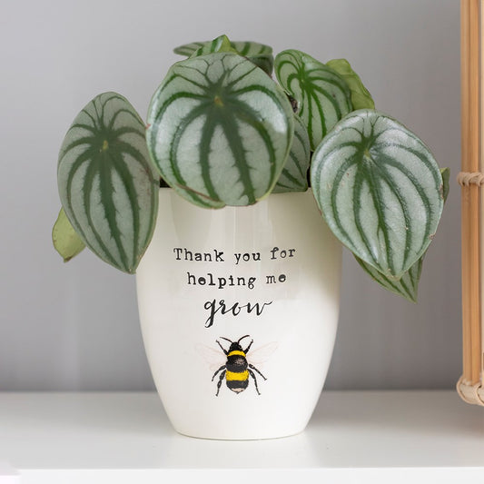 Something Different Ceramic Bee Plant Pot 'Thank you for helping me grow'