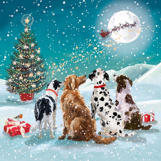 Charity Christmas Cards Pack of 10 Waiting for Santa