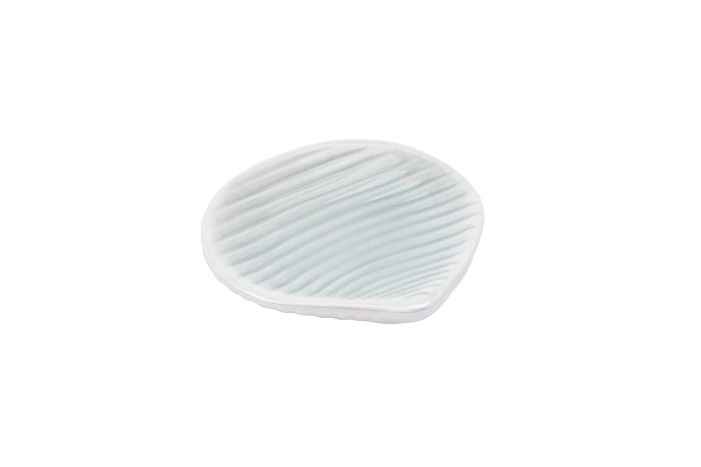 CGB Giftware The Harbour House Rockpool Shell Shaped Trinket Dish