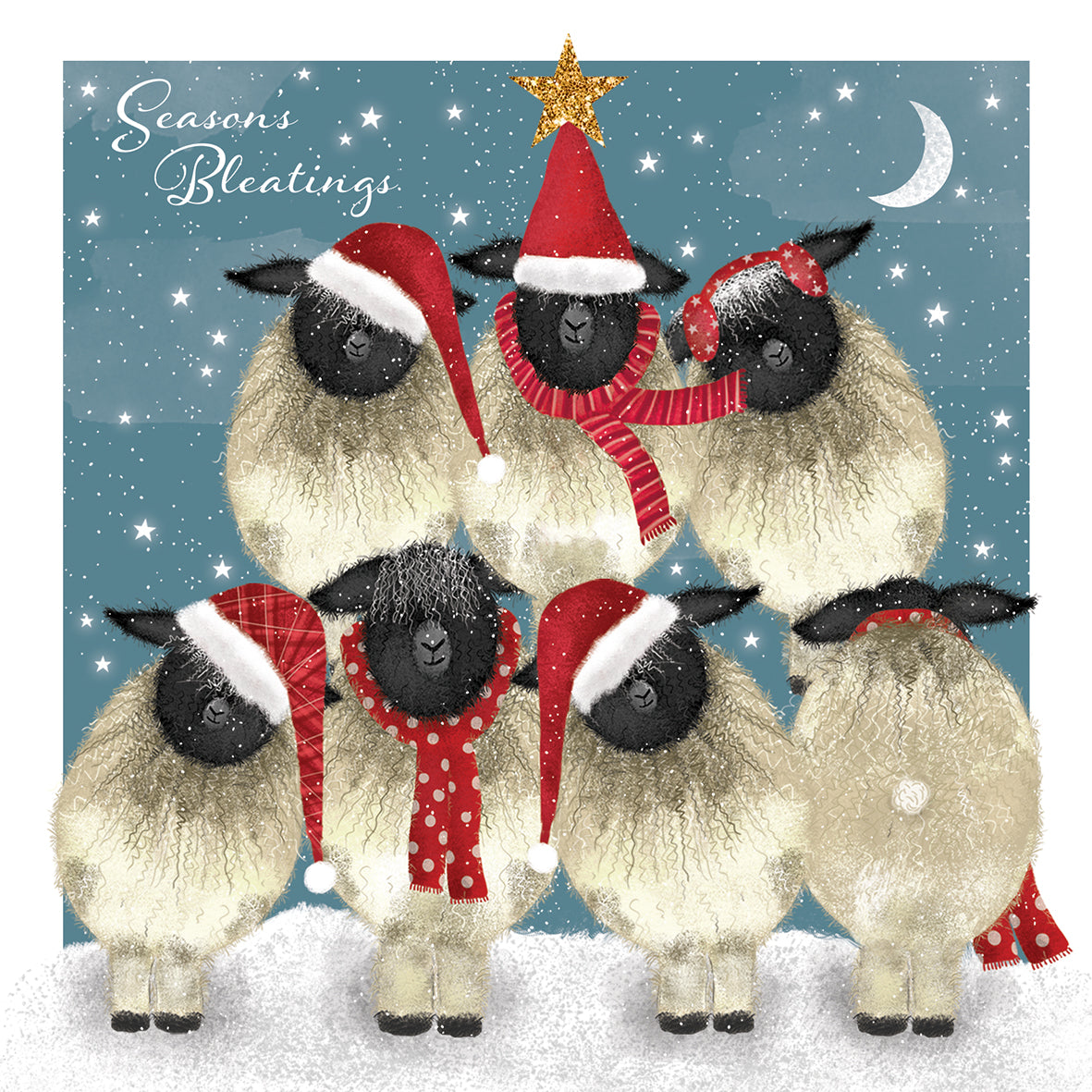 Charity Christmas Cards Pack of 10 Season's Bleatings