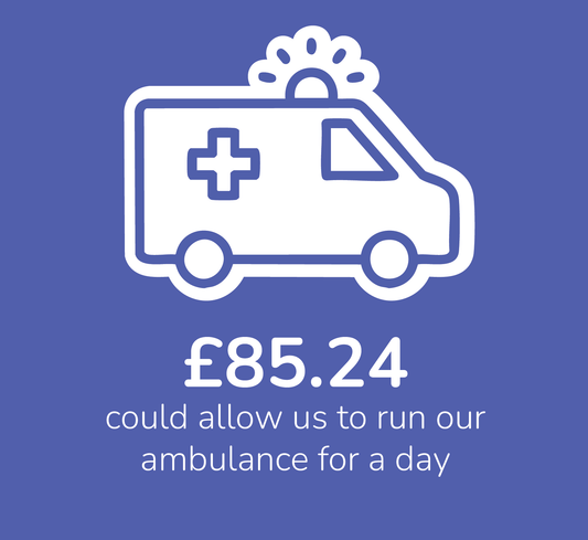 Virtual Gift - Ambulance for a Day - £85.24