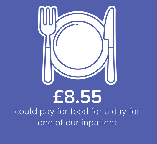 Virtual Gift - Food for a Day - £8.55