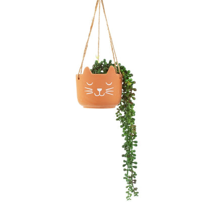 Sass & Belle Terracotta Cat's Whiskers Hanging Plant Pot