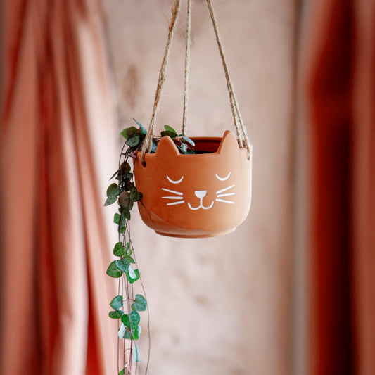 Sass & Belle Terracotta Cat's Whiskers Hanging Plant Pot