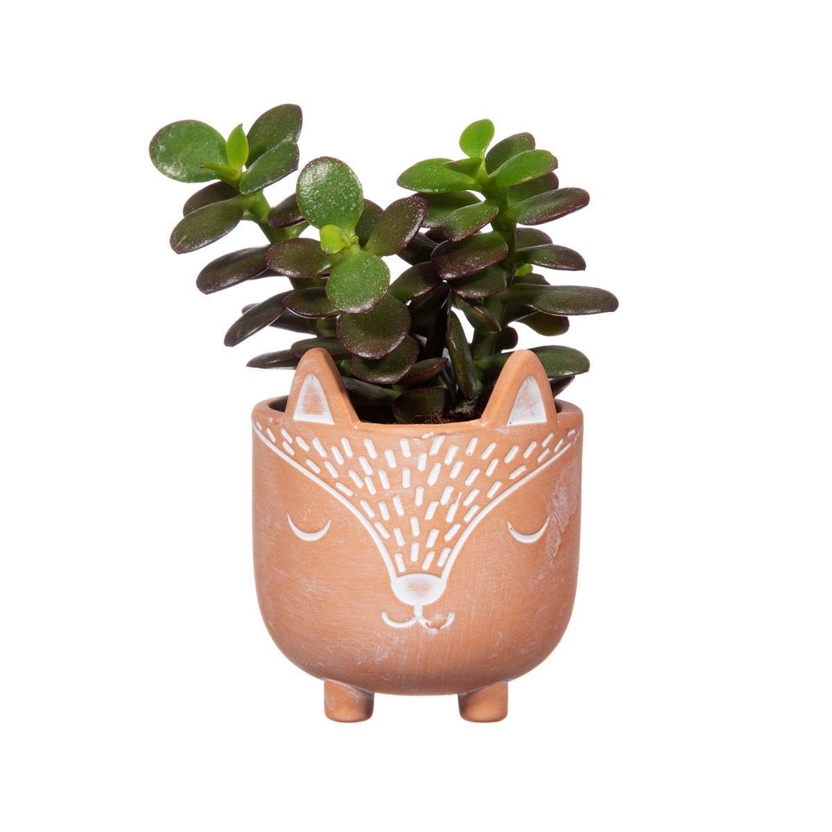 Sass & Belle Mini Woodland Fox Terracotta Plant Pot
