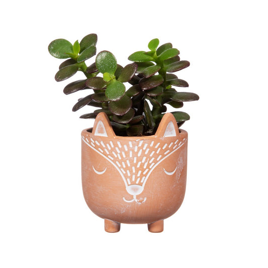 Sass & Belle Mini Woodland Fox Terracotta Plant Pot