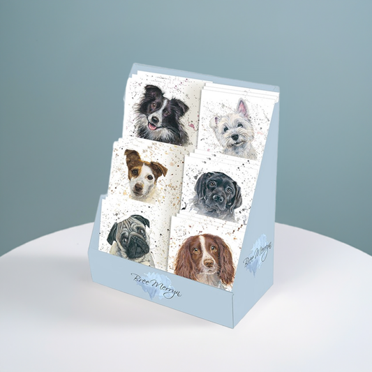 Bree Merryn Set of 6 Dogs Miniature Cards with Envelopes